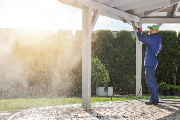 Best Sidewalk and Walkway Cleaning  in Cairo, NE